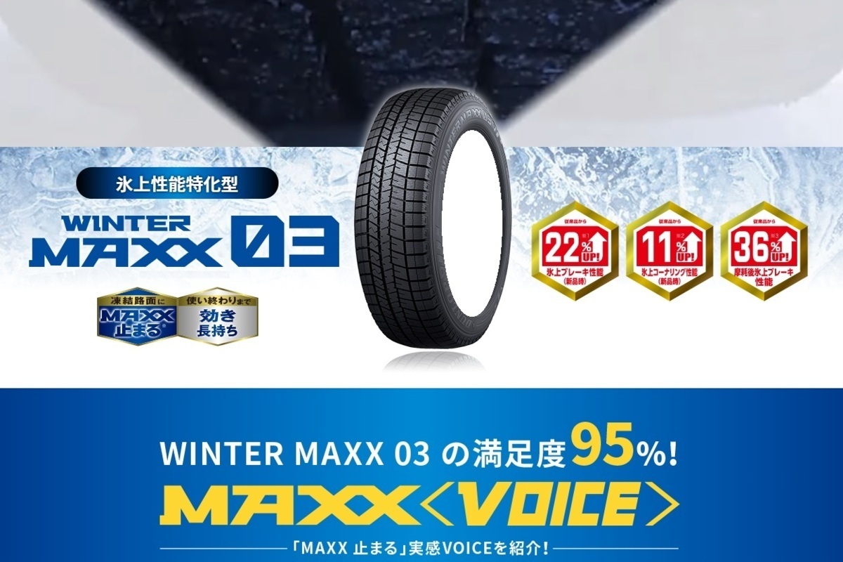 送料無料 業販品 直送品 新品 スタッドレスタイヤ 4本セット ダンロップ WM03 225/50R16 21年～23年製 WINTER MAXX (タイヤのみ)