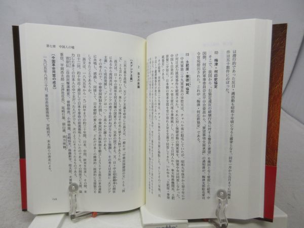 G4■NEW■南京大虐殺の大嘘 【著】吉本栄【発行】東京図書出版会 2001年 ◆並■_画像7