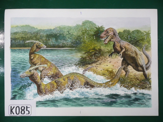 K-85　恐竜図鑑の挿絵　直筆画