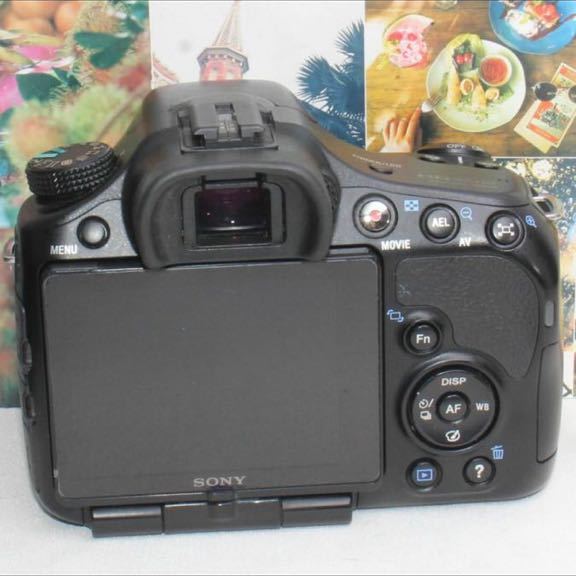 ハイスペック本格一眼レフSONY SLT-A65 トリプルズーム | www