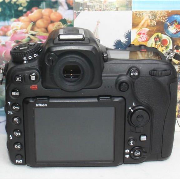予備バッテリー付きニコン D500 超望遠 トリプルレンズセット 予備バッテリー付きニコン D500 超望遠 トリプルレンズセット