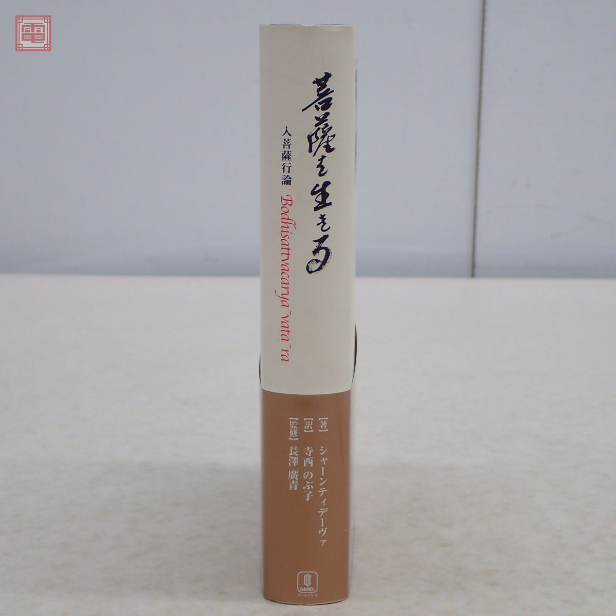 チベット仏教・菩薩行を生きる : 精読・シャーンティデーヴァ チベット仏教・菩薩行を生きる : 精読・シャーンティデーヴァ