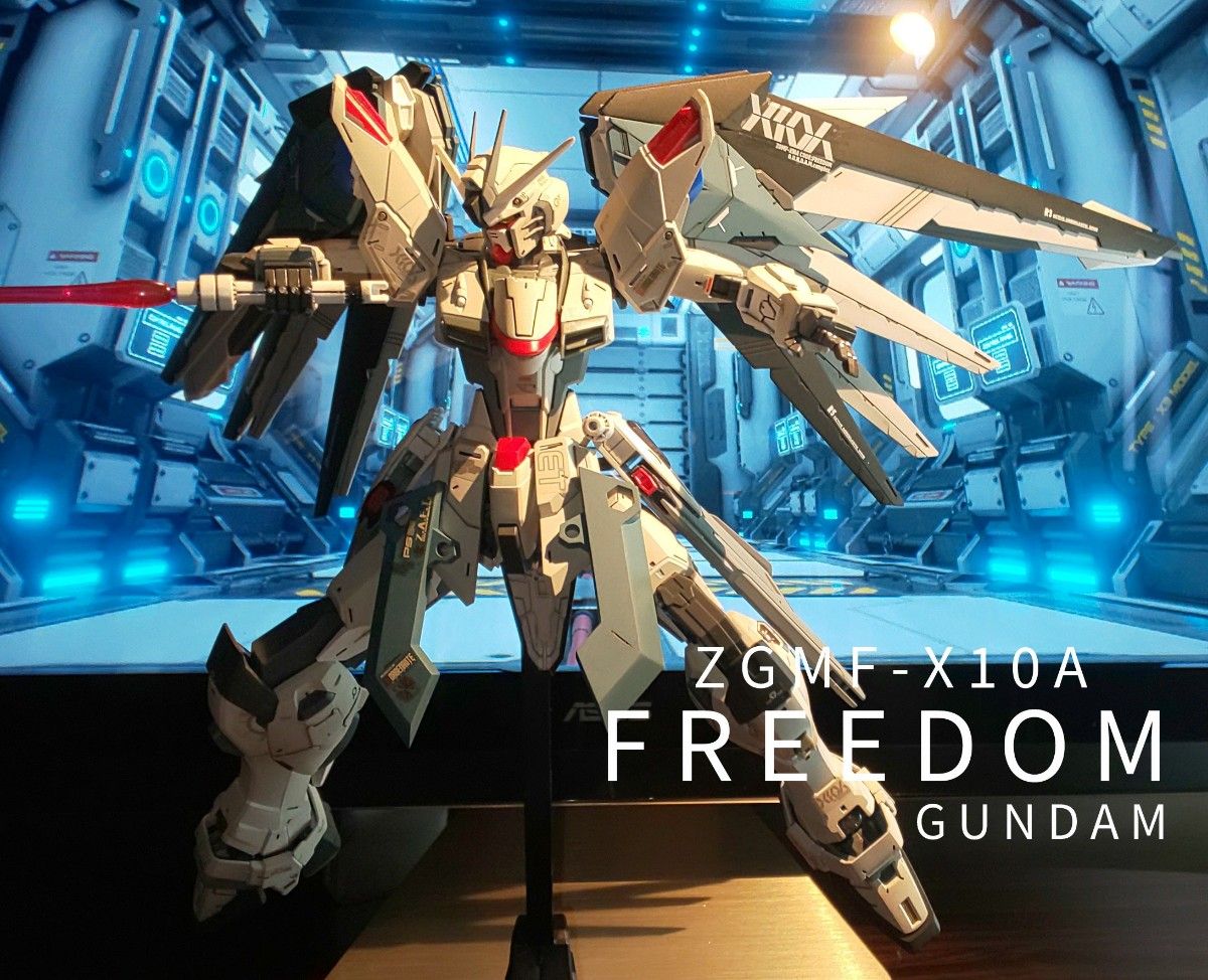 MG FREEDOM GUNDAM ZGMF-X10Aフリーダムガンダム Ver.2.0 完成品