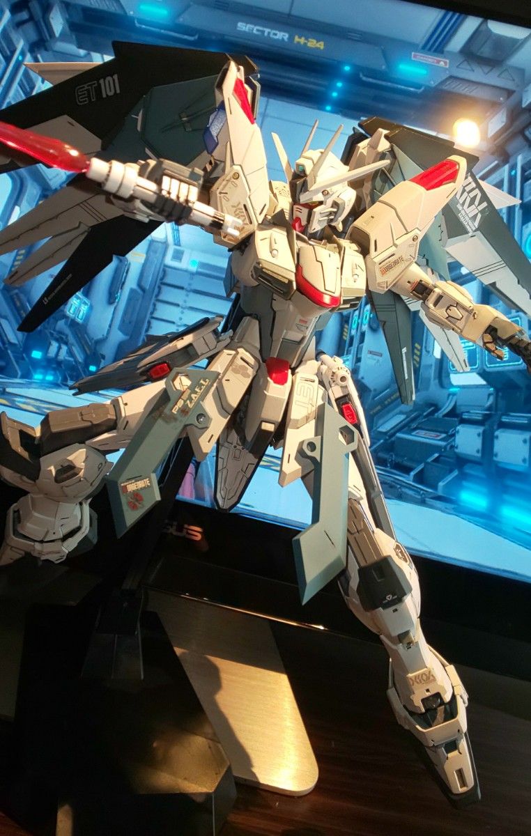 MG FREEDOM GUNDAM ZGMF-X10Aフリーダムガンダム Ver.2.0 完成品