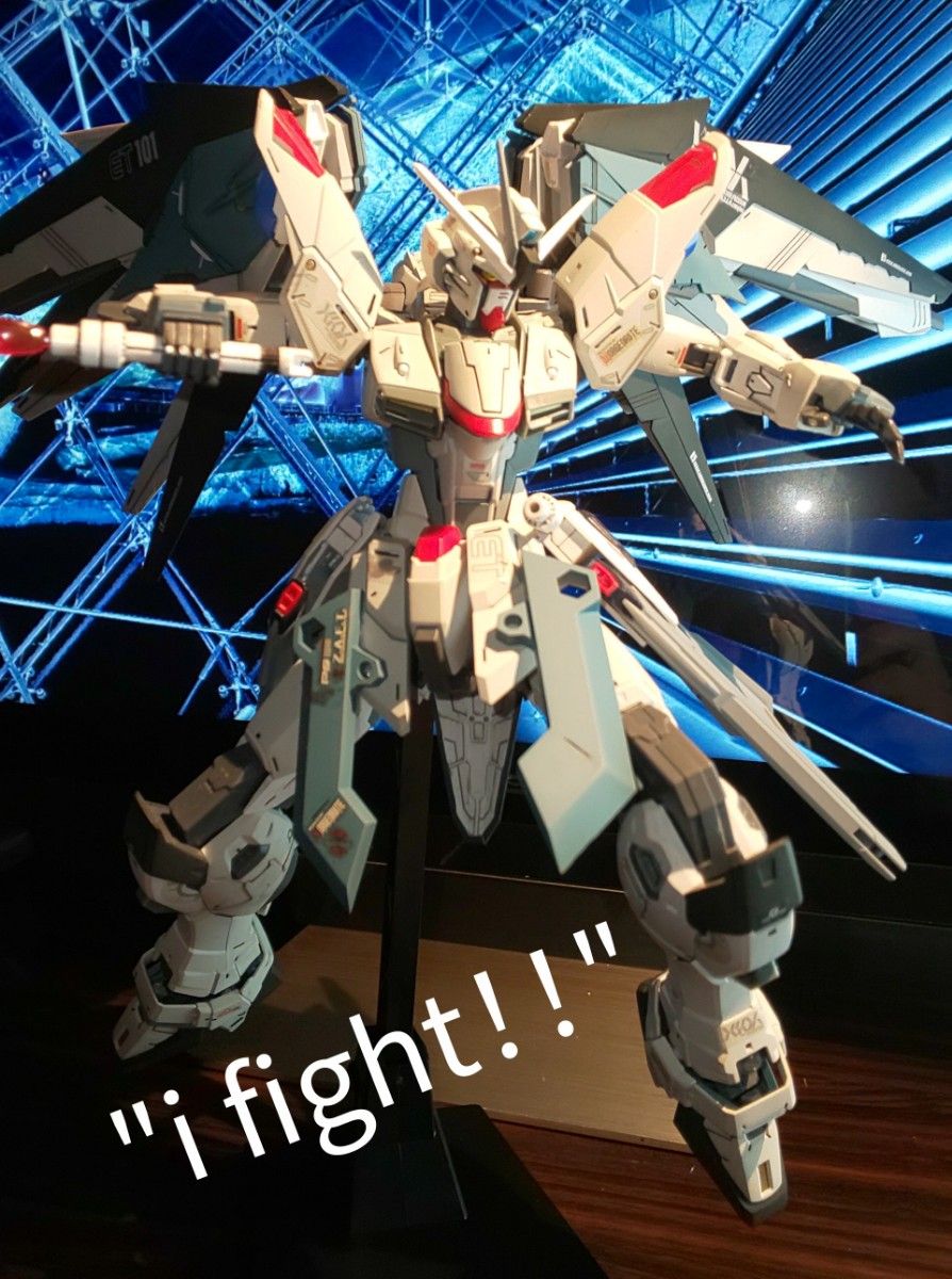 MG FREEDOM GUNDAM ZGMF-X10Aフリーダムガンダム Ver.2.0 完成品