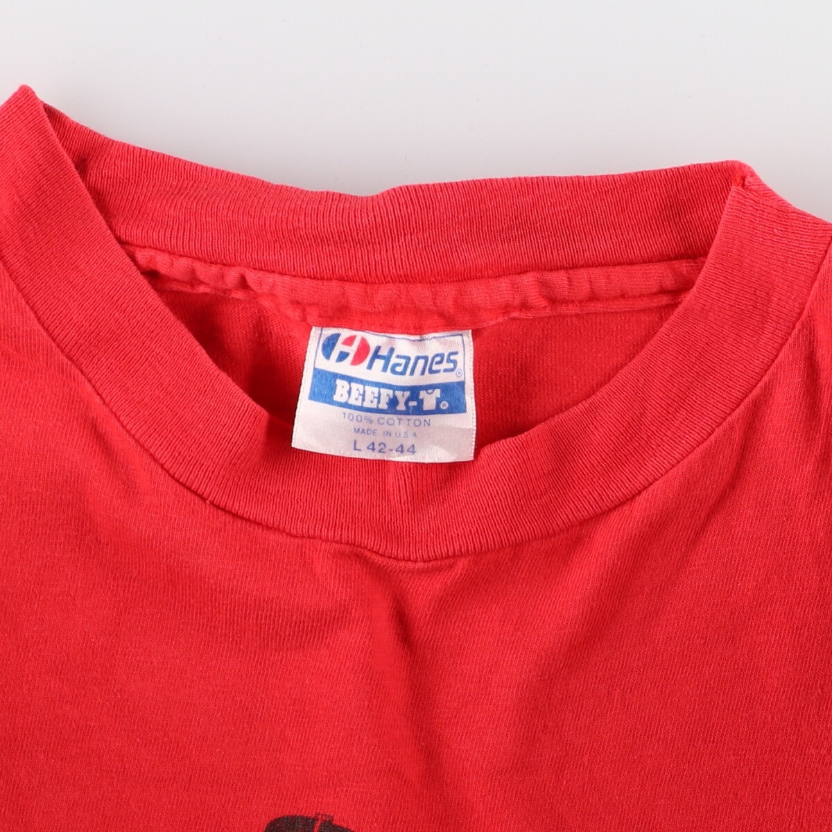 古着 90年代 ヘインズ Hanes BEEFY-T 青タグ プリントTシャツ USA製 メンズM ヴィンテージ /eaa348583_画像3