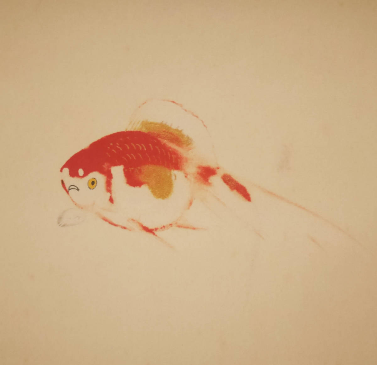 工芸】夏軸☆日本画家 土田麦僊 つちだ ばくせん【金魚図 工芸】夏軸☆日本画家 土田麦僊 つちだ ばくせん【金魚図