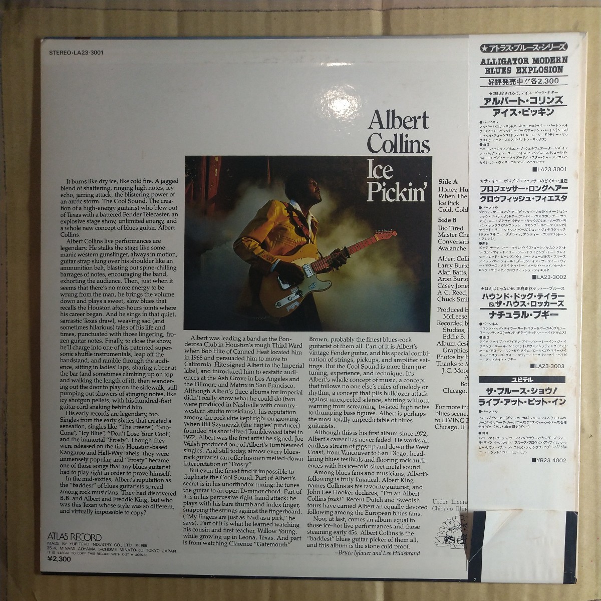 アルバート・コリンズ「Ice Pickin'」邦LP 1980年 絶版アトラスレコード盤★★texas blues名盤albert collins_画像2