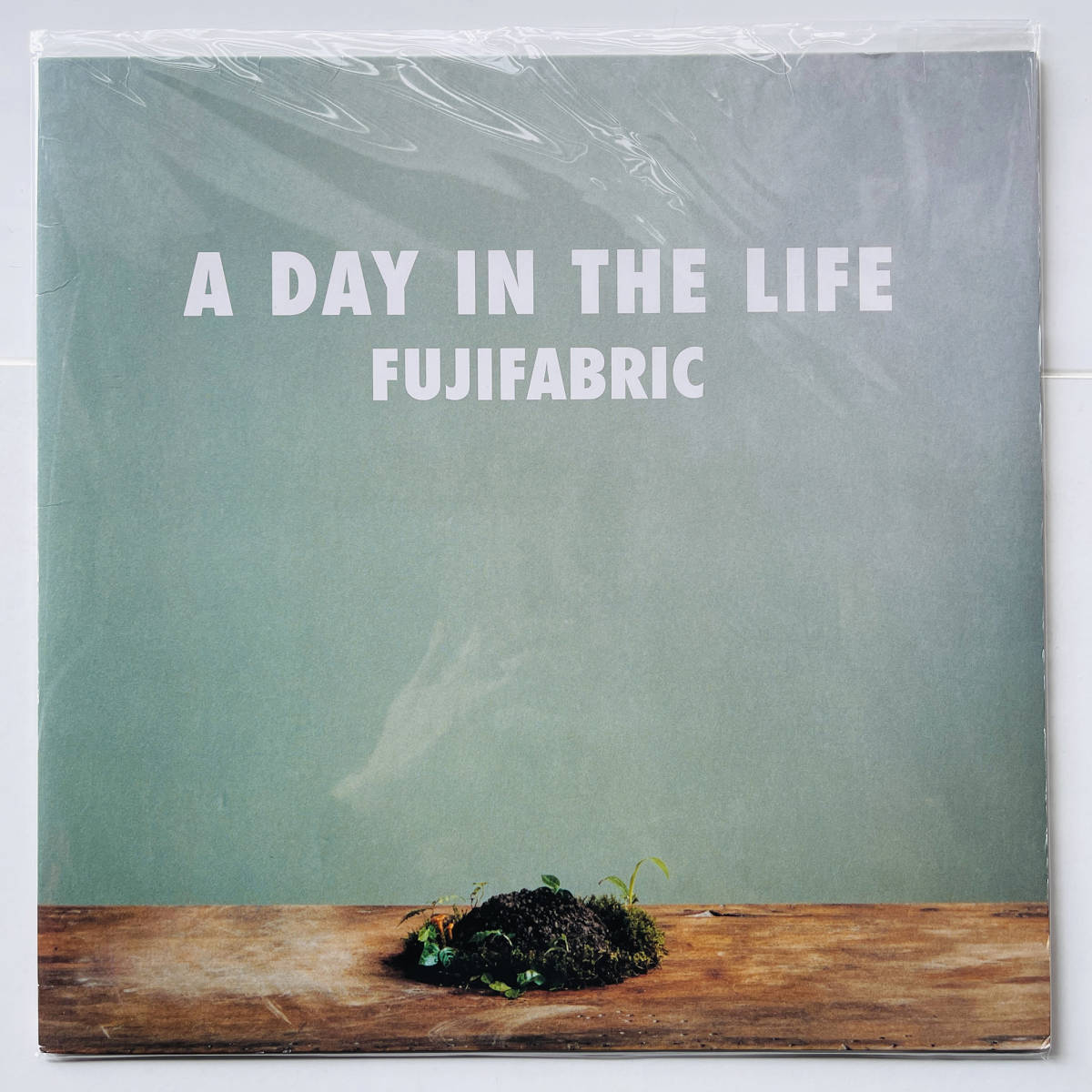 少数プレス限定盤 レコード〔 フジファブリック A Day In The Life 〕Fujifabric