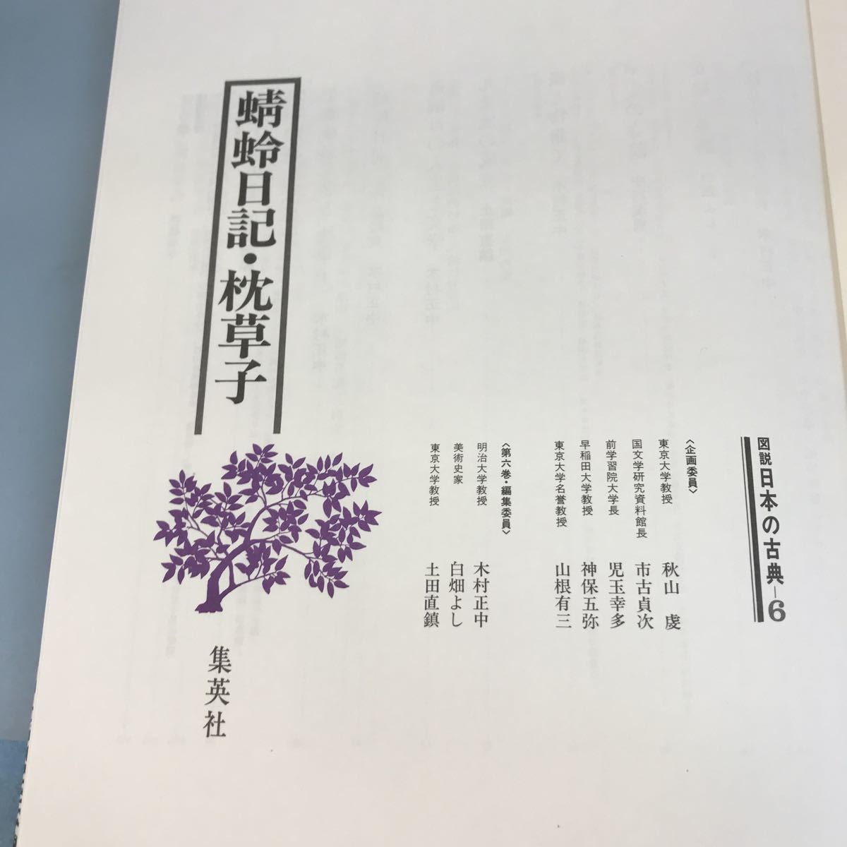 B12-124 図説 日本の古典 6 蜻蛉日記・枕草子 編集委員 木村正中 白畑よし 土田直鎮 集英社_画像5