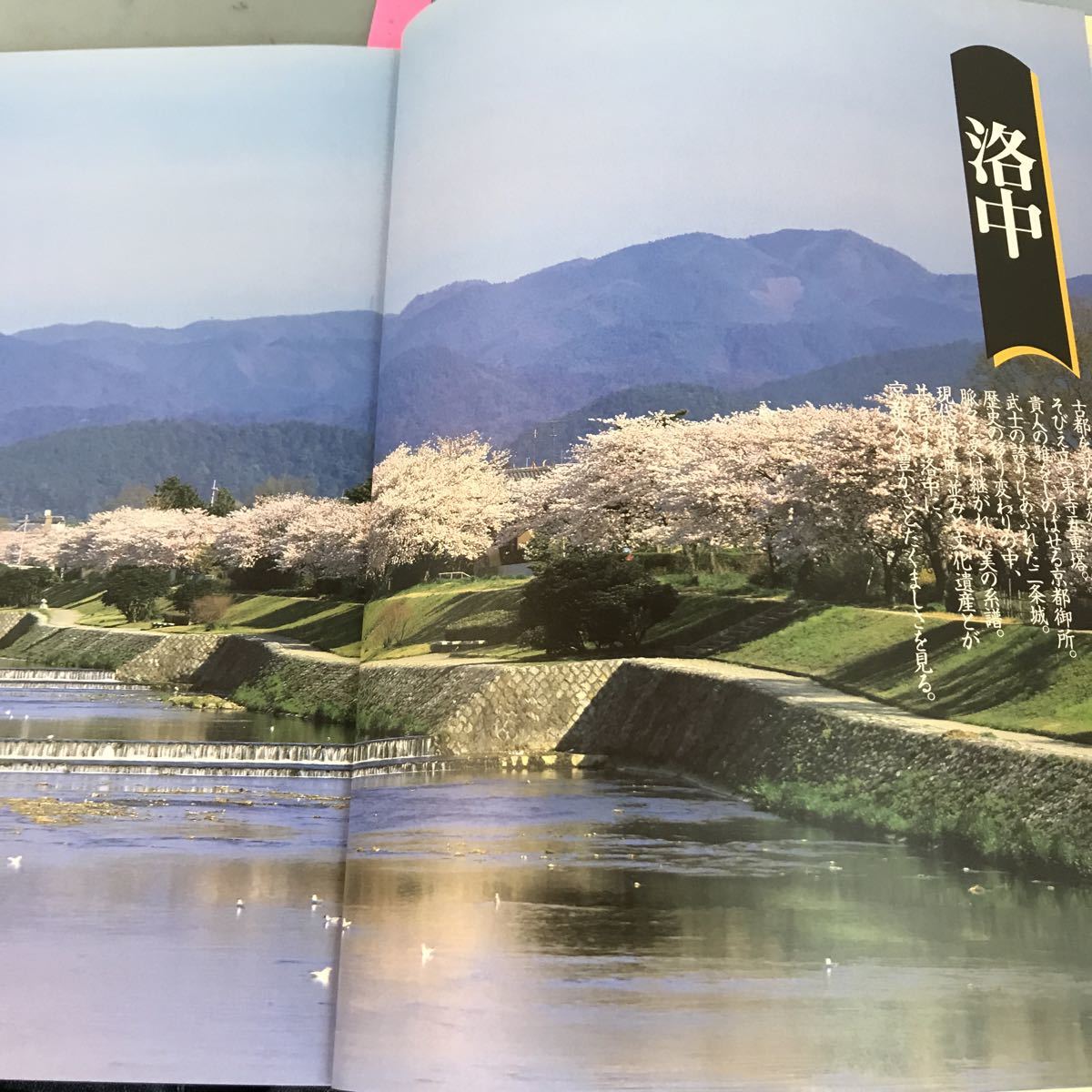 B12-128 京都古寺散策 日本通信教育連盟 _画像8