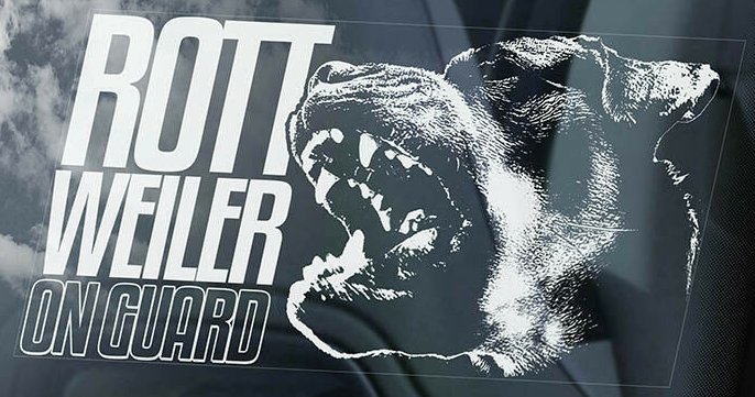 ◆ロットワイラー(ロッティー)Rottweiler on guard@外張り カーステッカー 190 x 100mm 外貼り カー ステッカー シール@Dog D2 犬 2988_画像2