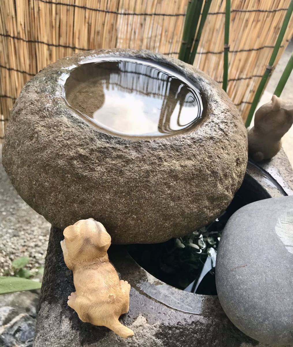  old .. miscellaneous goods water lily pot tsubo garden shop on veranda terrace tea garden [ pretty water pot *.* objet d'art ] structure . gardening objet d'art me Dakar light . fields and mountains grass Rhododendron indicum undergrowth Japanese black pin other 