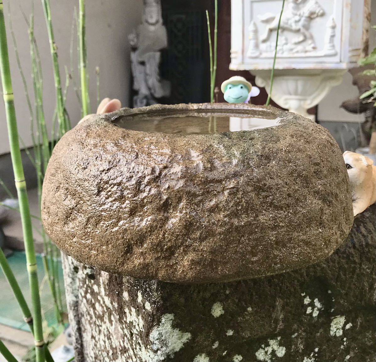  old .. miscellaneous goods water lily pot tsubo garden shop on veranda terrace tea garden [ pretty water pot *.* objet d'art ] structure . gardening objet d'art me Dakar light . fields and mountains grass Rhododendron indicum undergrowth Japanese black pin other 