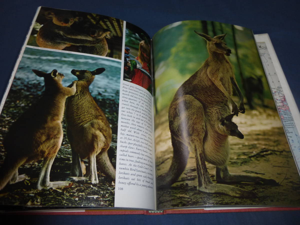 洋書「Australia」 National Geographic Society　オーストラリア　英文　1968年　地図付　写真集_画像5