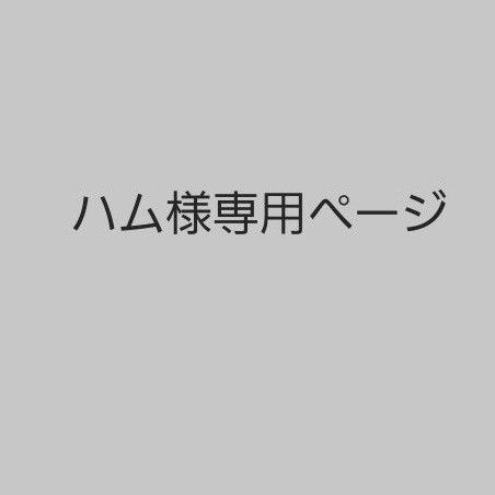 ハム様専用ページ｜PayPayフリマ