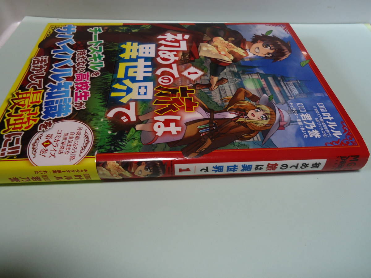 【なろう/異世界/転生/チート】 初めての旅は異世界で １巻 マッグガーデンの画像1
