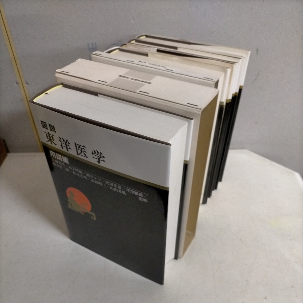 図説 東洋医学 基礎編 湯液編Ⅰ・Ⅱ 経穴編 奇穴編 用語編 6冊まとめ