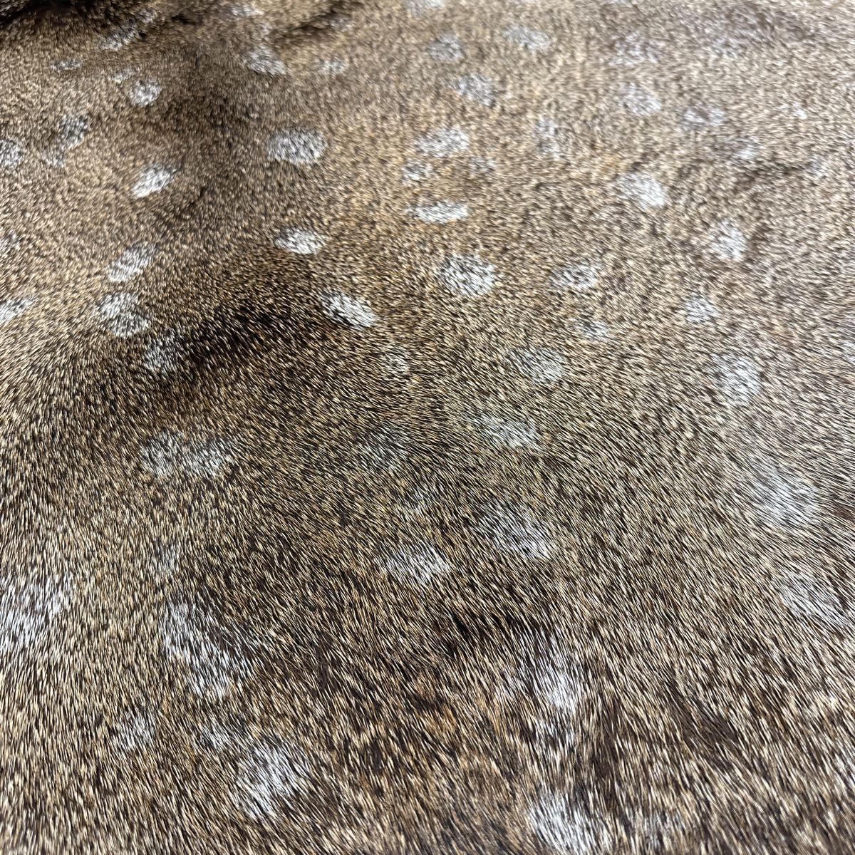 鹿革 ラグマット エゾシカ 蝦夷鹿 敷物 鹿皮オス 冬毛 エゾシカ 鹿革 ラグマット エゾシカ 蝦夷鹿 敷物 鹿皮オス 冬毛 エゾシカ