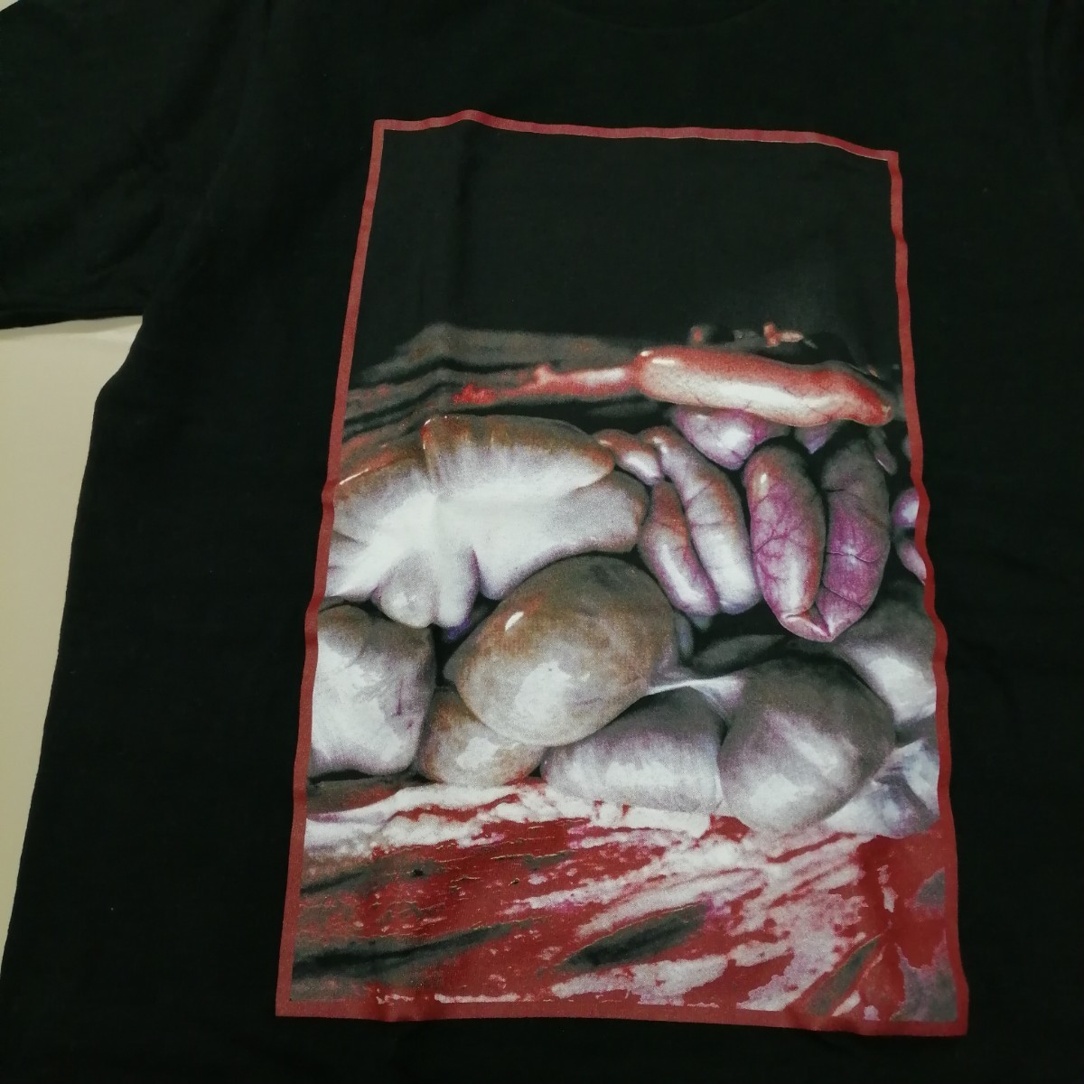 C07 バンドTシャツ　フェスT　ノットフェス2016 KNOTFEST JAPAN_画像3