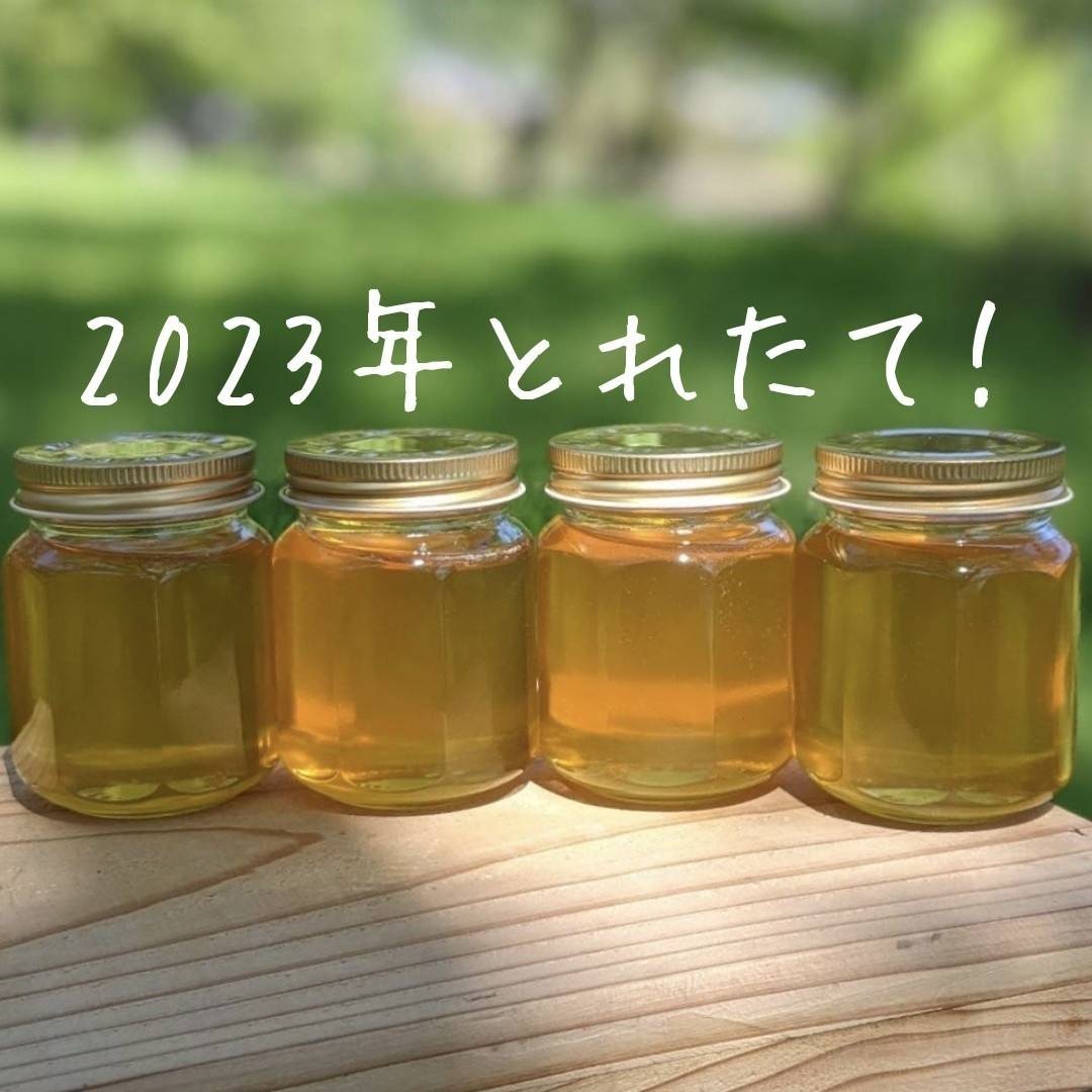 高級素材使用ブランド 百花 生はちみつ×2本 2023 5採蜜 新蜜 国産 蜂蜜