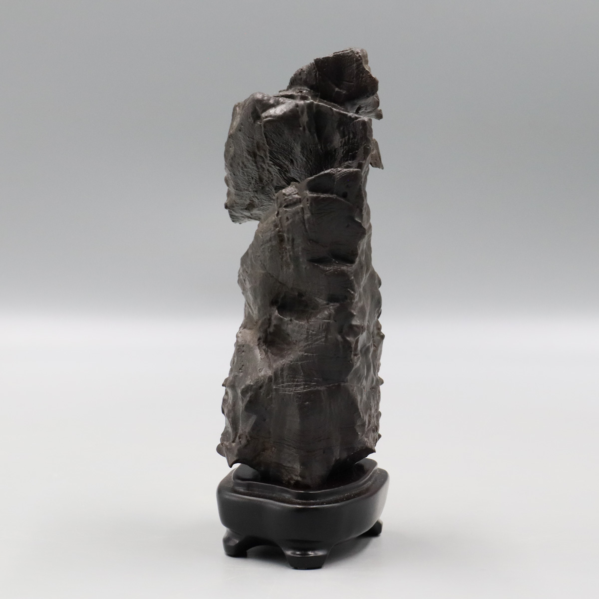 宙】姿石 龍神 三田川 20.9cm 1542g 唐木台付 鑑賞石 水石 自然石 鉱石