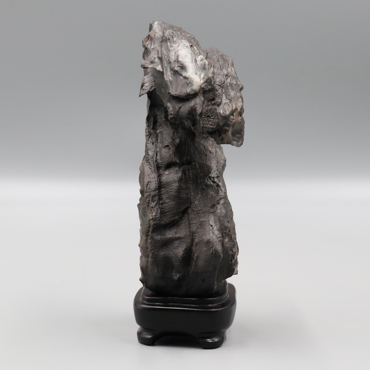 宙】姿石 龍神 三田川 20.9cm 1542g 唐木台付 鑑賞石 水石 自然石 鉱石