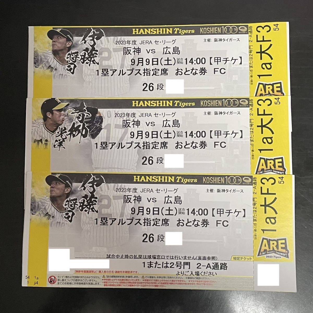 9月9日(土) 阪神対広島甲子園球場一塁アルプス指定席チケット3枚 9月9日(土) 阪神対広島甲子園球場一塁アルプス指定席チケット3枚