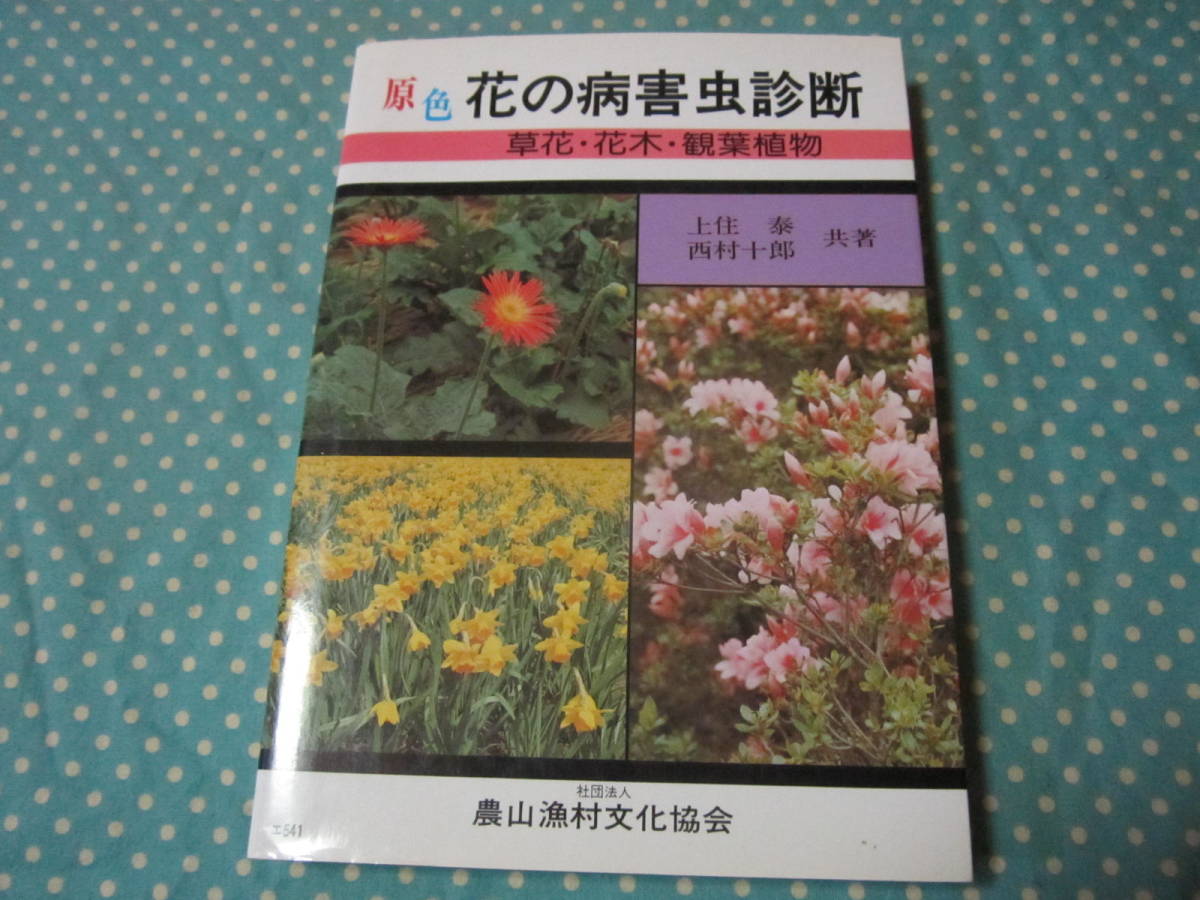 *. color flower. sick . insect diagnosis . flower Hanaki decorative plant 