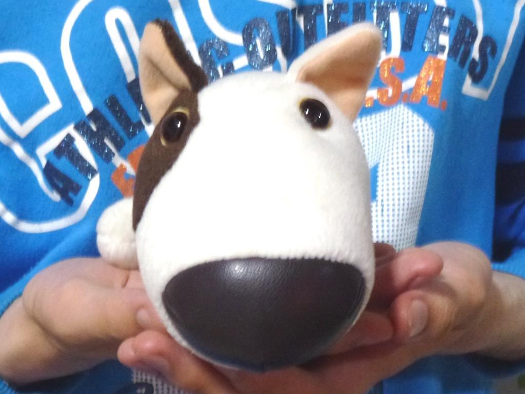 くたくた 犬 ぬいぐるみの値段と価格推移は 29件の売買情報を集計したくたくた 犬 ぬいぐるみの価格や価値の推移データを公開 くたくた 犬 ぬいぐるみの値段と価格推移は 29件の売買情報を集計したくたくた 犬 ぬいぐるみの価格や価値の推移データを公開