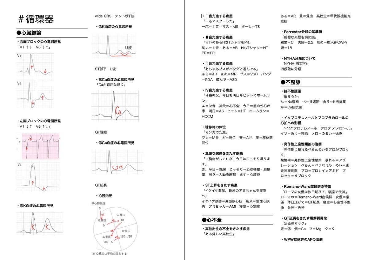 医師国家試験 CBT 語呂まとめ 医師国家試験 CBT 語呂 まとめ|Yahoo!フリマ(旧PayPayフリマ)