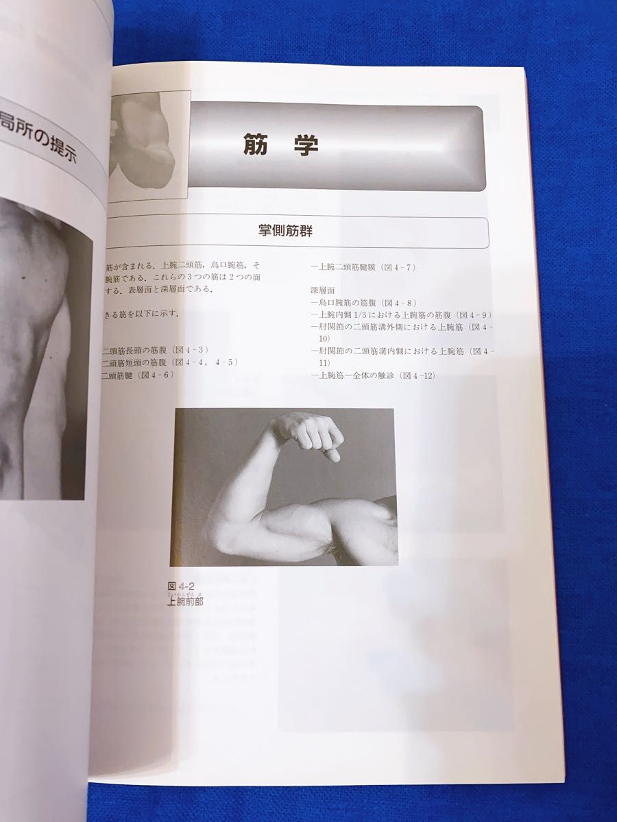 触診解剖アトラス 頸部体幹上肢/セルジュティクサ (著者) 奈良 触診解剖アトラス 頸部体幹上肢/セルジュティクサ (著者) 奈良