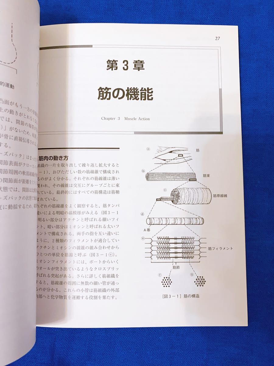 柔軟性トレーニング　その理論と実践 クリストファーＭ．ノリス／著　山本利春／監訳　吉永孝徳／訳　日暮清／訳