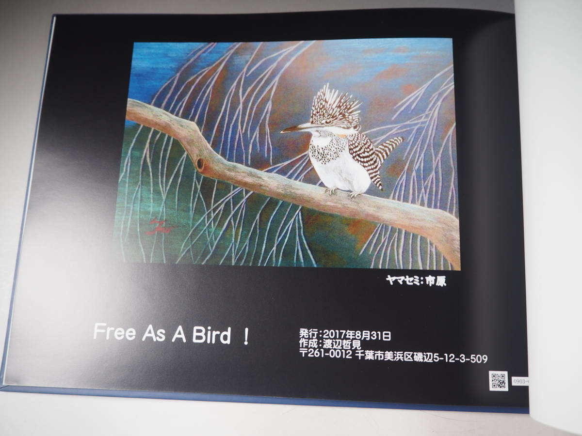 一人ぼっちでも大丈夫 野鳥との出会い・色鉛筆画集　渡辺哲見_画像6