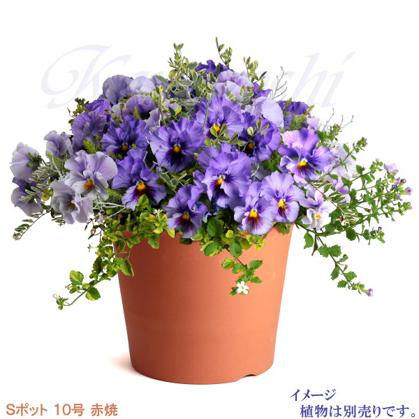 item_image_9