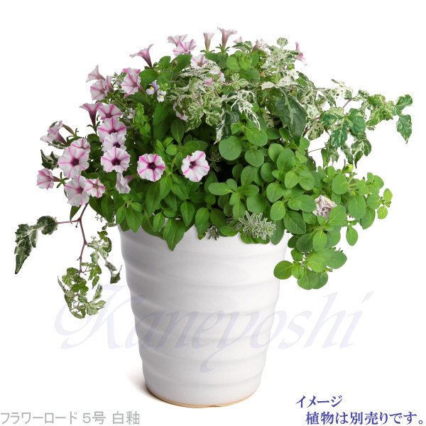  цветочный горшок модный дешевый керамика размер 16.5cm цветок load 5 номер белый . салон наружный белый цвет 