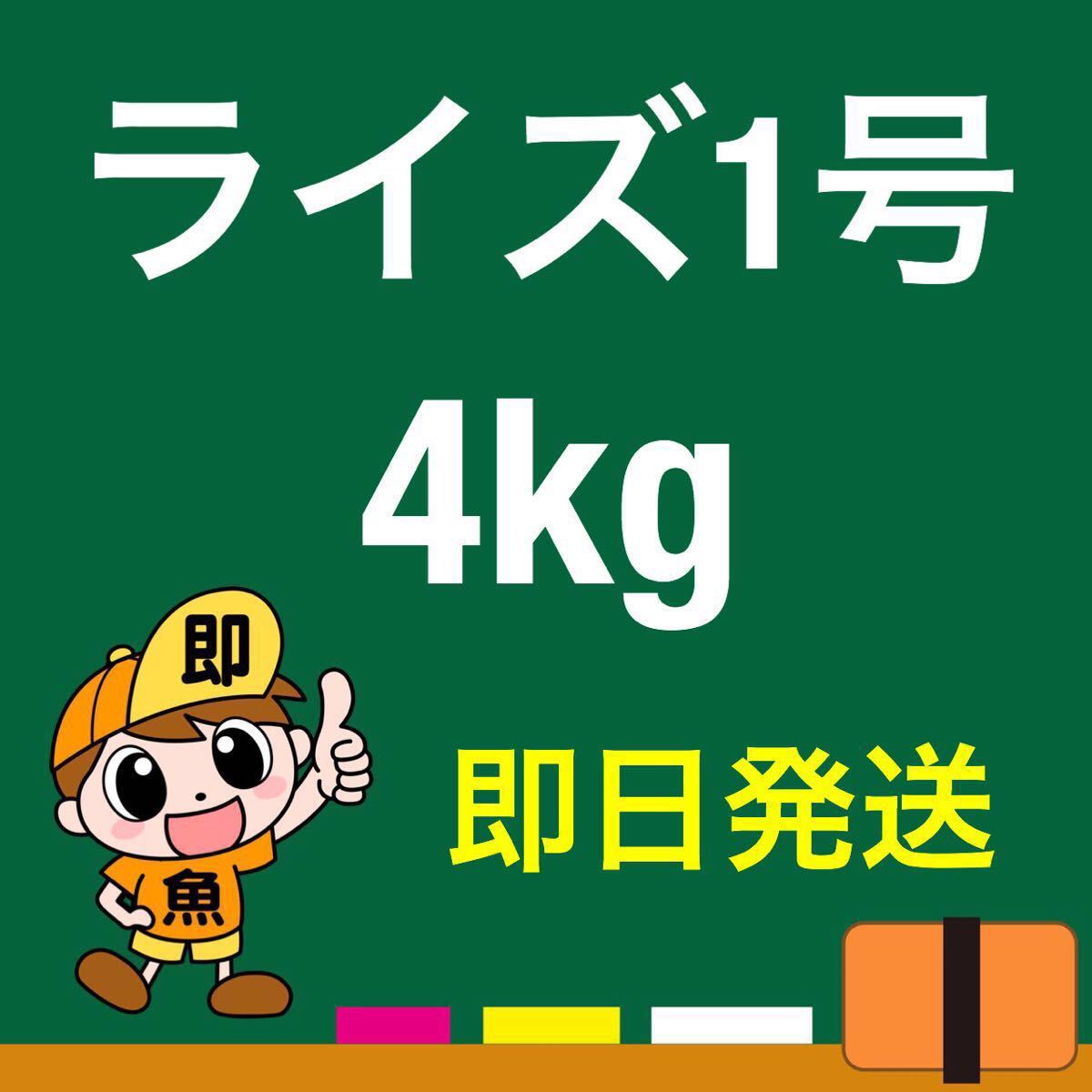 ライズ1号 4kg入り 送料無料 メダカ 餌 稚魚 エサ_画像1