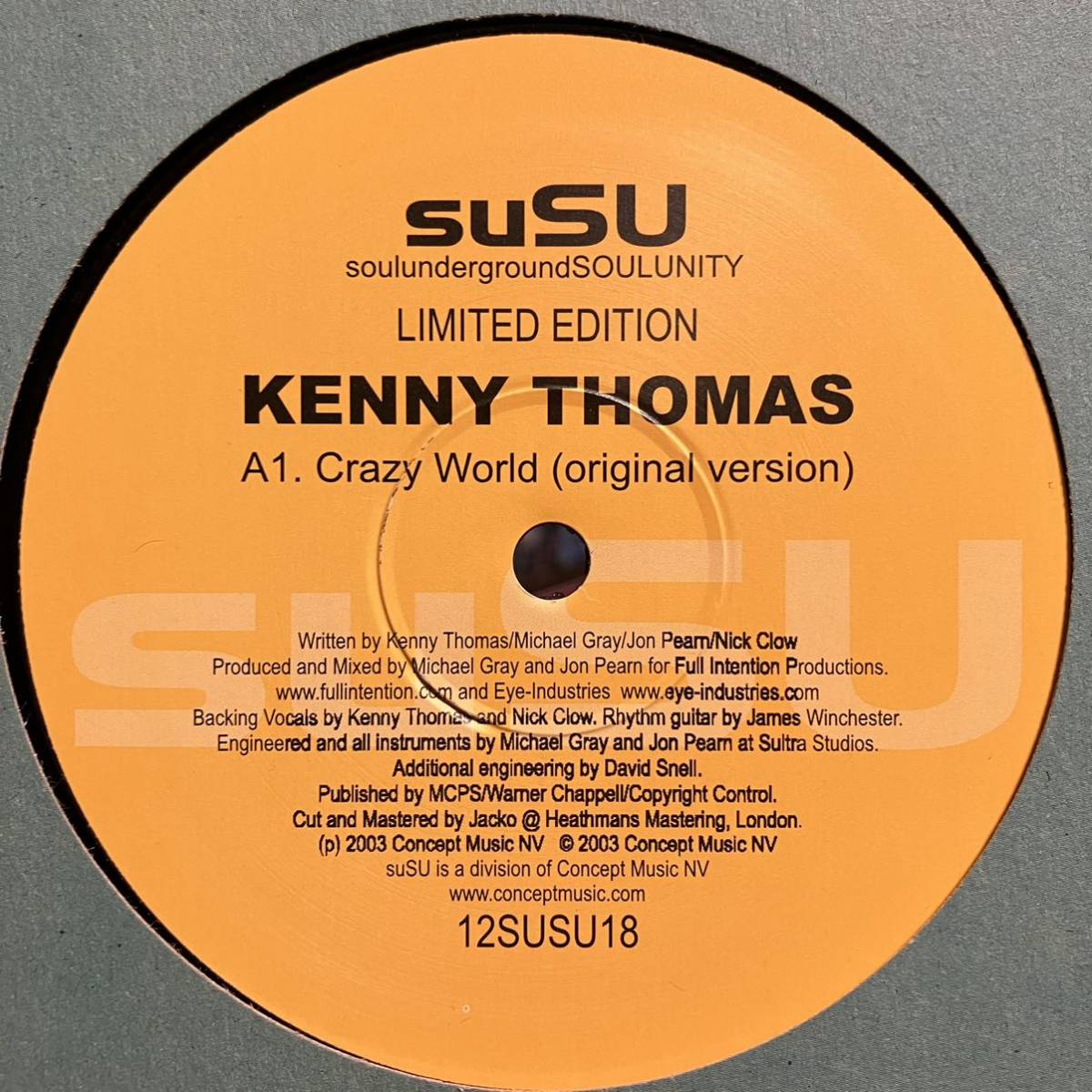 【激レアRemix】国内盤 DAISY HICKS Hooked On You (Soul Mix) KENNY THOMAS Crazy World Limited Editionの画像2