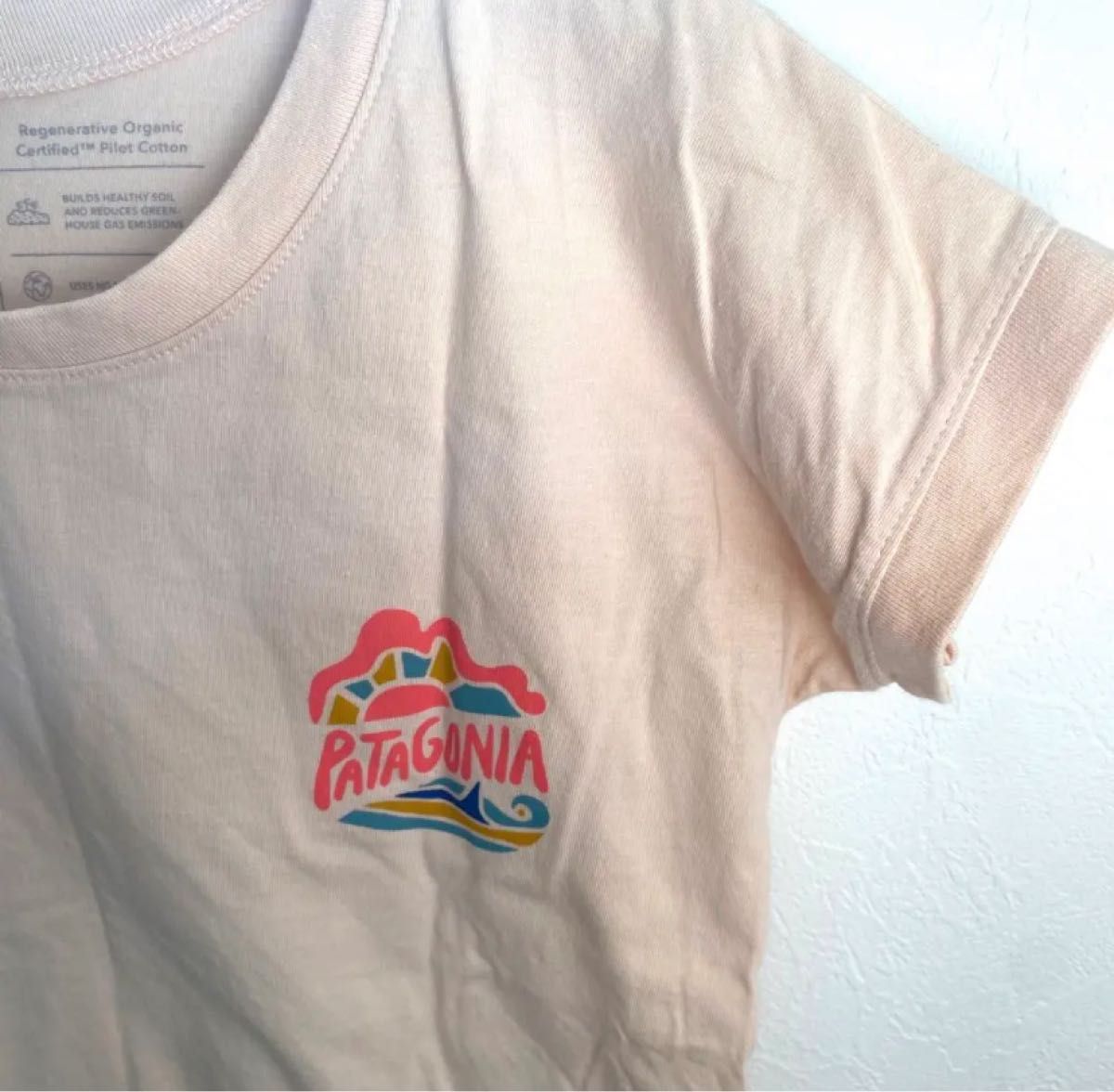 Tシャツノースフェイスpetitmain zarakids H&M プチバトー