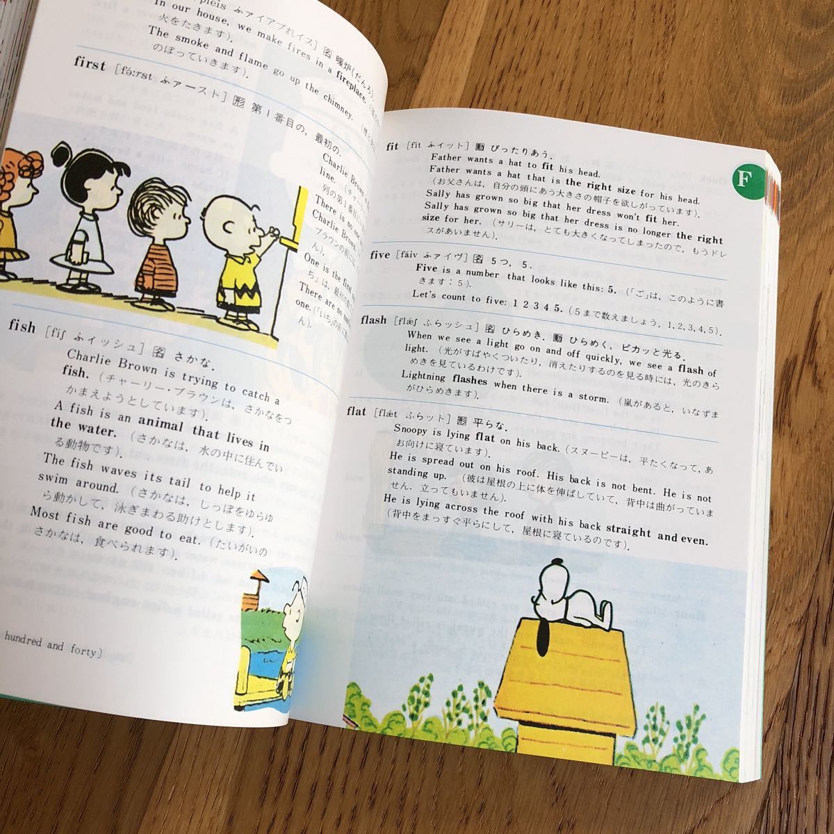 Paypayフリマ カラー版 スヌーピーの英和辞典 The Charlie Brown Dictionary