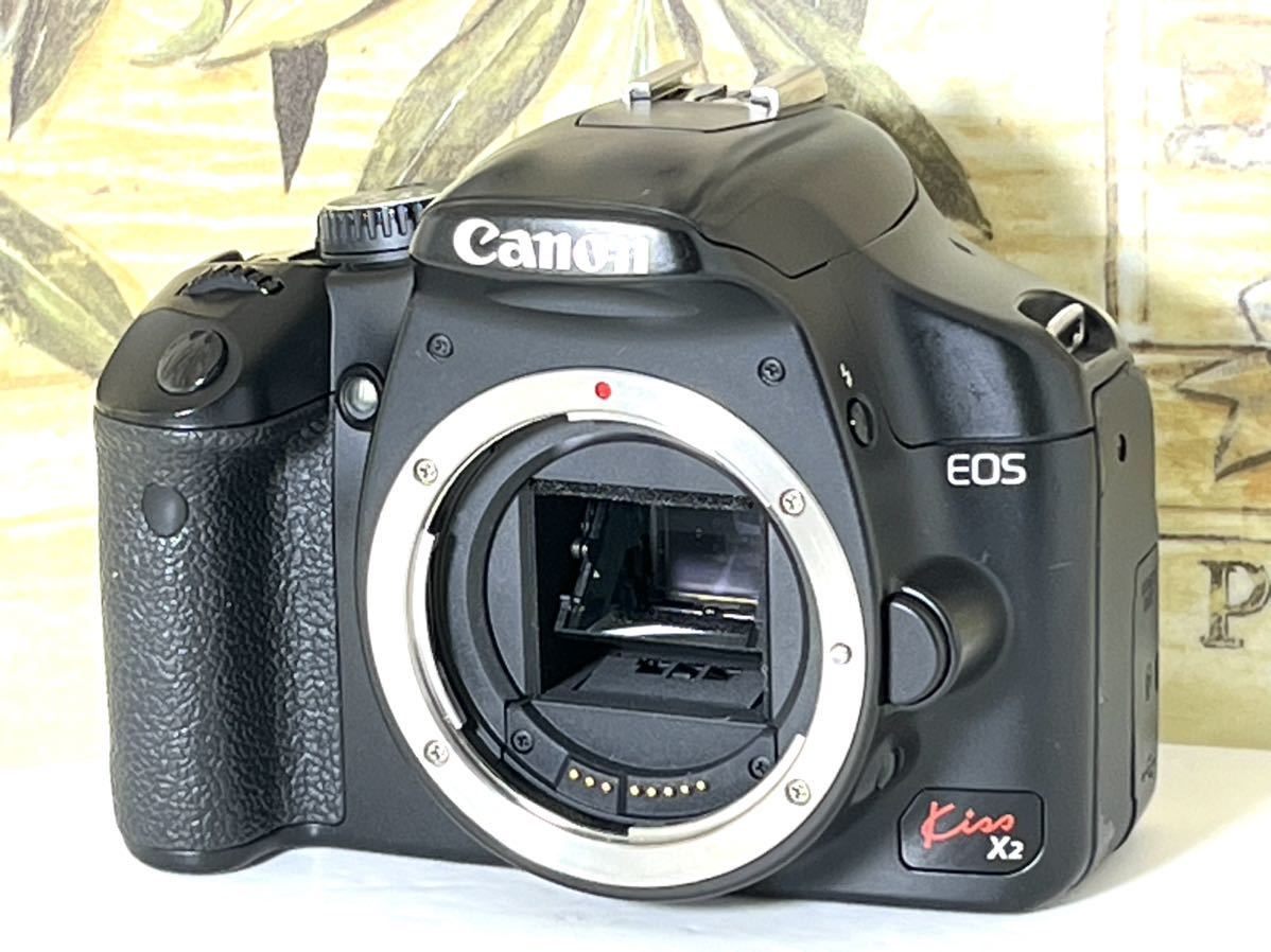 初心者オススメ機 キャノン Canon EOS Kiss x2 Canon製レンズ2本セット 動作良好確認済み_画像4