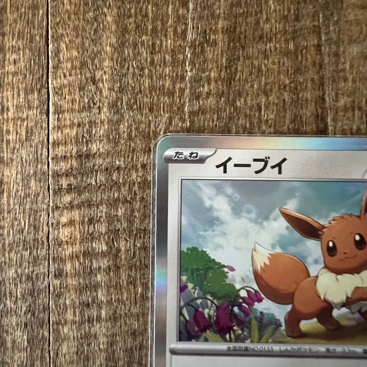 未使用 非売品】ポケモンカードゲーム教室 イーブイ 033/SV-P