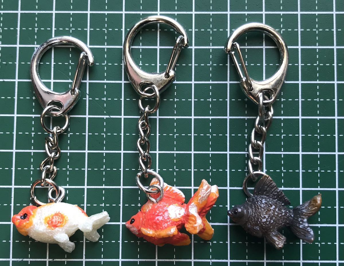 水作エイトコアS限定カラー3色 計12台 金魚アクセサリー12個付き 水作エイトコアS限定カラー3色 計12台 金魚アクセサリー12個付き