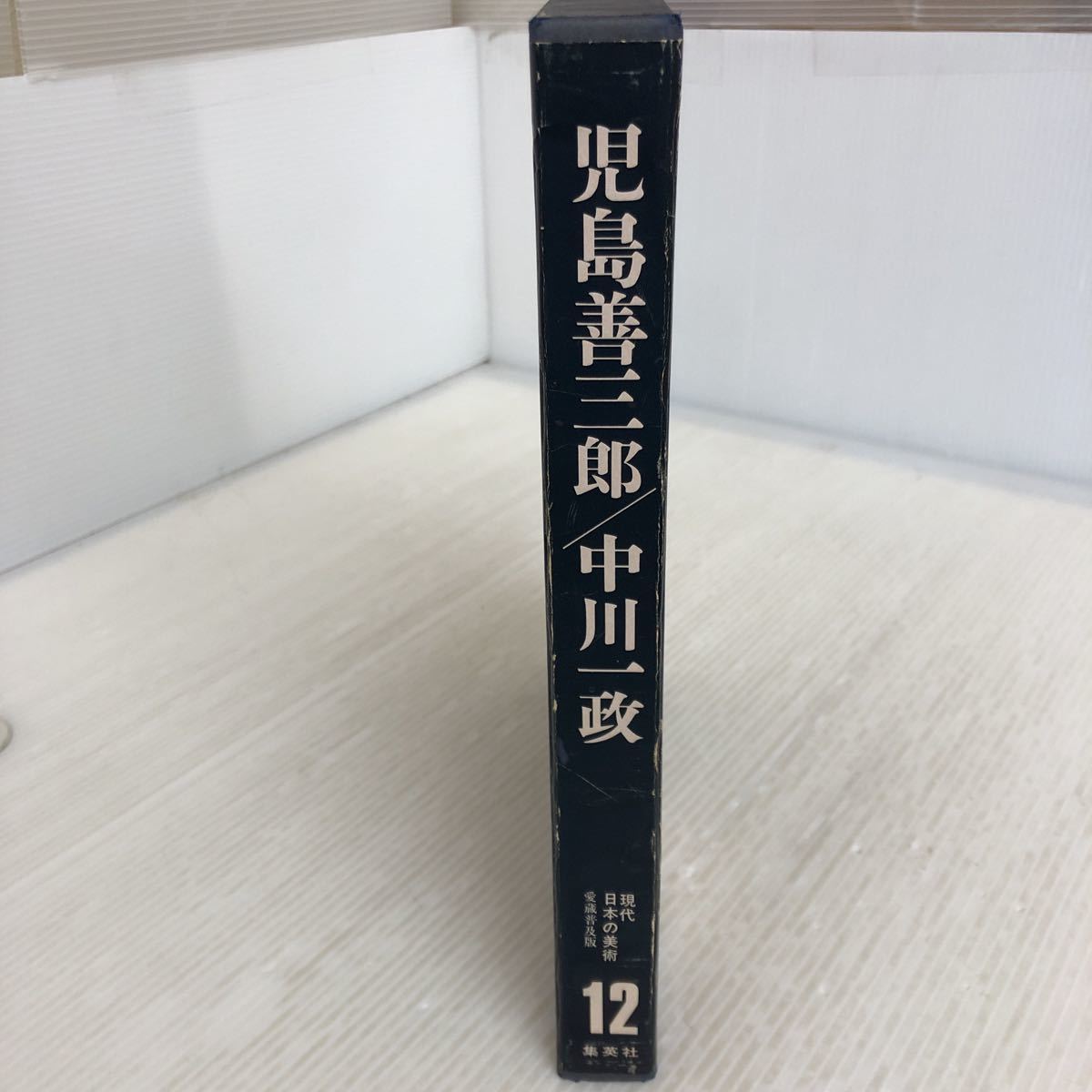 D-ш/ 愛蔵普及版 現代日本の美術12巻 児島善三郎/中川一政 1977年初版発行 集英社_画像3