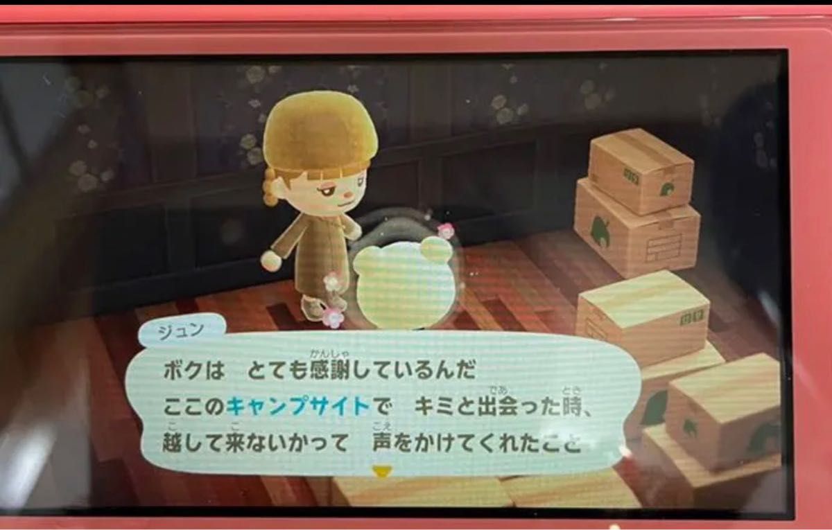 どうぶつの森 amiiboカード ジュン NO264 アミーボ どうぶつの森 amiiboカード ジュン NO264 アミーボ