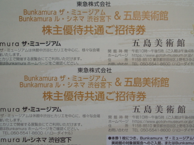 い出のひと時に、とびきりのおしゃれを！ Bunkamuraザ ミュージアム ル シネマ渋谷宮下 五島美術館 招待券2枚