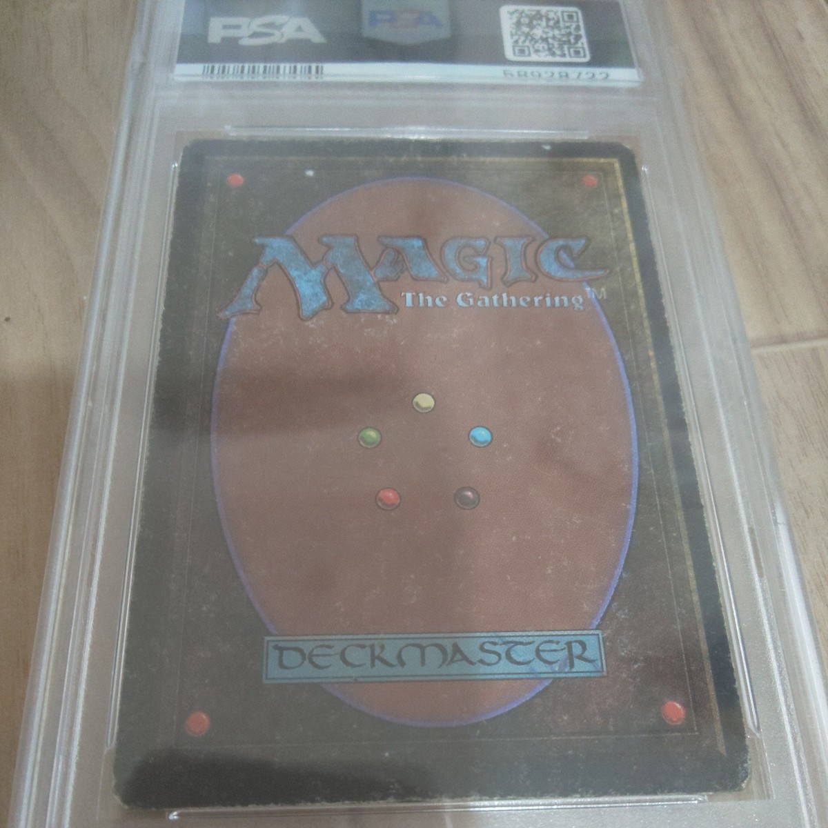 出品6月まで PSA2 Library of Alexandria Arabian Nights PSA 出品6月まで PSA2 Library of Alexandria Arabian Nights PSA