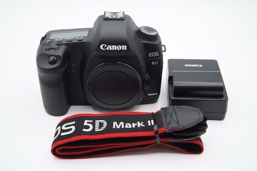 大人気新品 【極上品】CANON EOS 5D Mark II ボディ #197 キヤノン