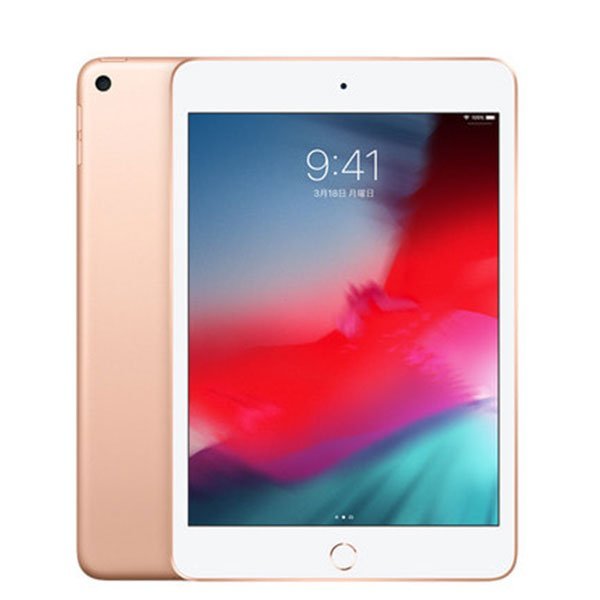 APPLE iPad mini 5 WI-FI 64GB 2019 | flnaacp.com