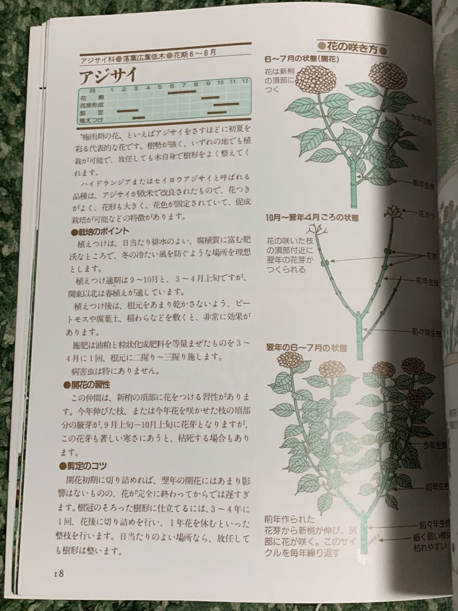 【希少・レア】 図解だからわかりやすい花木・庭木剪定のコツ